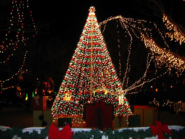 wildlights at zoo 030.jpg